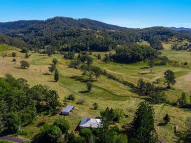 Farm Sold - NSW - Larnook - 2480 - Your Rural Lifestyle Awaits  (Image 2)