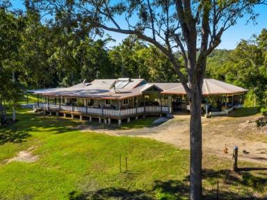 Farm Sold - NSW - Larnook - 2480 - By Golly, You'll Love E J Olley  (Image 2)