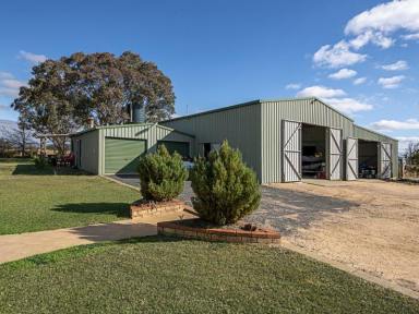 Farm Sold - QLD - Leslie Dam - 4370 - "LESLIEVIEW"  INCREDIBLE LIFESTYLE WITH DELICIOUS INCOME  (Image 2)