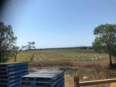 Farm Sold - NSW - Swan Bay - 2471 - Great opportunity to secure productive acreage!  (Image 2)