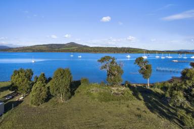 Farm Sold - TAS - Dunalley - 7177 - Lifestyle block that ticks all the boxes  (Image 2)