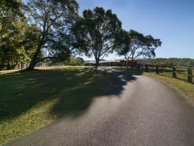 Farm Sold - QLD - Ormeau Hills - 4208 - IN A CATEGORY ALL OF ITS OWN  (Image 2)
