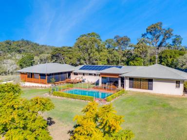 Farm Sold - QLD - Ormeau Hills - 4208 - IN A CATEGORY ALL OF ITS OWN  (Image 2)