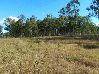 Farm Sold - QLD - Tiaro - 4650 - Looking For Land  (Image 2)