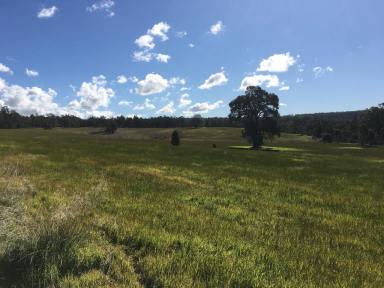 Farm Sold - WA - Balingup - 6253 - LOWER YOUR BLOODPRESSURE IN BALINGUP ON OVER 30 HECTARES (APPROX 75 ACRES)  (Image 2)