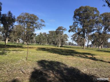 Farm Sold - VIC - Youanmite - 3646 - 125 Acres of Cropping Country   (Image 2)