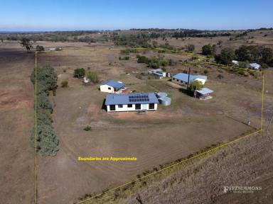 Farm Sold - QLD - Dalby - 4405 - ESCAPE CITY LIVING! 16.28 ACRES WITH GOOD HOME, SHEDDING AND VIEWS  (Image 2)