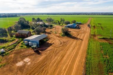 Farm For Sale - NSW - Carrathool - 2711 - Turnkey Irrigation Farm Ready To Fire  (Image 2)