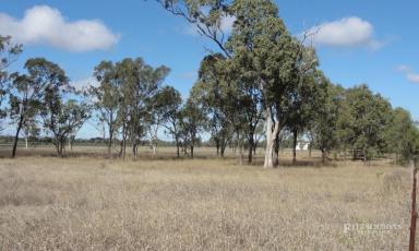 Farm Sold - QLD - Dalby - 4405 - 10 ACRE BLOCK WITHIN THE TOWN BOUNDARY!!  (Image 2)