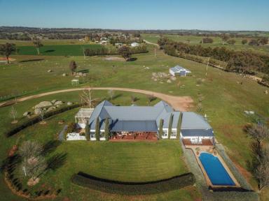 Farm Sold - NSW - Young - 2594 - Heaven does have an address  (Image 2)