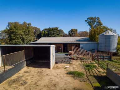 Farm Sold - VIC - Kyabram - 3620 - Lifestyle Property  (Image 2)