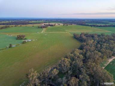 Farm Sold - VIC - Moorilim - 3610 - Hazelmere - Moorilim  (Image 2)