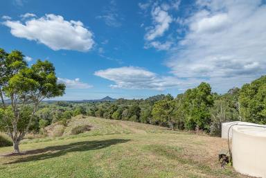Farm Sold - QLD - Black Mountain - 4563 - Rare Acreage Close to Cooroy, Amazing Views  (Image 2)