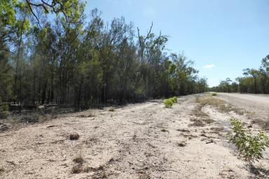 Farm Sold - QLD - Dalby - 4405 - 100 ACRE WEEKENDER  (Image 2)