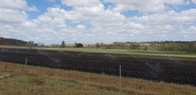 Farm Sold - QLD - Gin Gin - 4671 - Looking for a Farm...how about a good farm.  (Image 2)