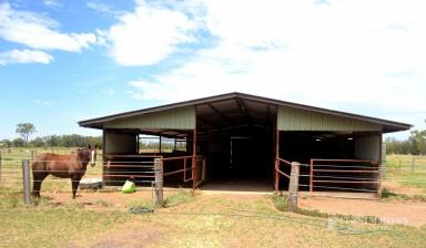 Farm Sold - QLD - Dalby - 4405 - HOLD YOUR HORSES! - 24 acres, 2 Dams, 5 minutes to CBD  (Image 2)