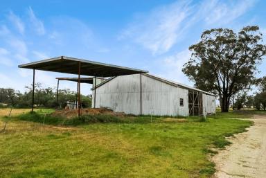 Farm Sold - NSW - Temora - 2666 - 'Koreela Park' 43.1ha Lifestyle Living  (Image 2)