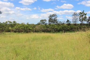 Farm Sold - QLD - Gin Gin - 4671 - 14.3 Acres not even 5 mins out of town.  (Image 2)