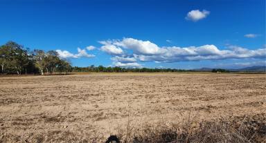 Farm For Sale - QLD - Mutchilba - 4872 - OWNER COMMITTED ELSEWHERE -  WILL LOOK AT REASONABLE OFFERS  (Image 2)