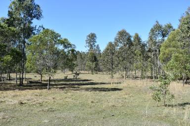 Farm Sold - QLD - Glenbar - 4620 - 1050 Acres in 3 Titles  (Image 2)