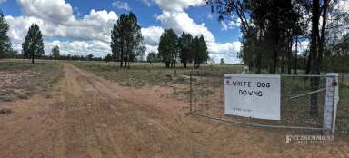 Farm Sold - QLD - Dalby - 4405 - WHITE DOG DOWNS
EXCELLENT LIFESTYLE PROPERTY 100ACRES  (Image 2)