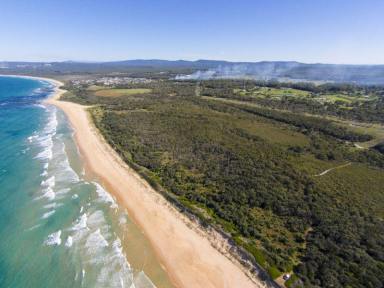 Farm Sold - NSW - Coffs Harbour - 2450 - Your opportunity to own your own piece of beachfront property - 100 acres in fact!  (Image 2)
