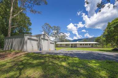 Farm Sold - NSW - Bellingen - 2454 - Views Forever of the Promised Land  (Image 2)