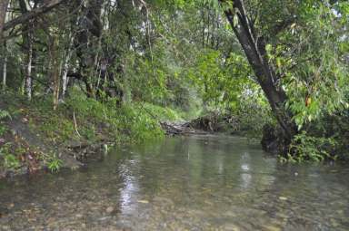 Farm Sold - NSW - Bellingen - 2454 - Views Forever of the Promised Land  (Image 2)