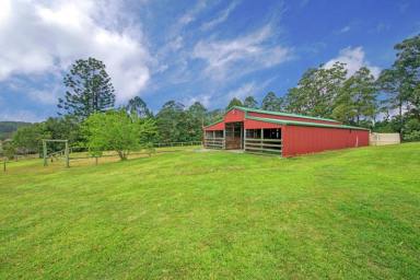 Farm Sold - NSW - Bellingen - 2454 - Paradise for Your Family and Horses  (Image 2)