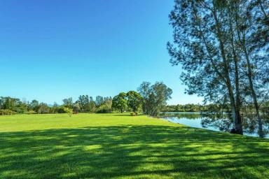Farm Sold - NSW - Urunga - 2455 - Elevated Waterfront Home with Fantastic Views and Breeze...  (Image 2)