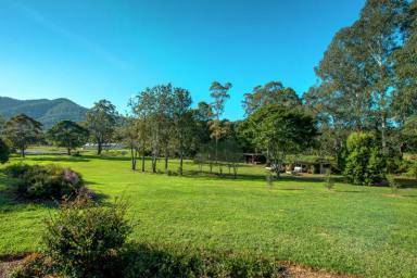 Farm Sold - NSW - Bonville - 2450 - The Ultimate in Lifestyle and Opportunity...  (Image 2)