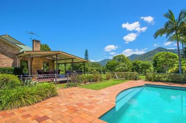 Farm Sold - NSW - Bonville - 2450 - Your Fashionable Bonville Residence...  (Image 2)