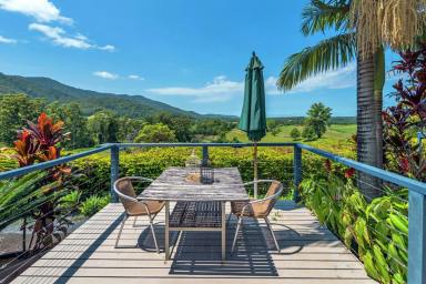 Farm Sold - NSW - Bonville - 2450 - Elevated with Spectacular Views  (Image 2)