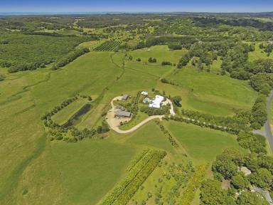 Farm Sold - NSW - Myocum - 2481 - Stunning Rural Retreat  (Image 2)