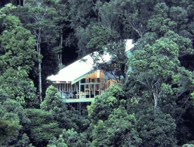 Farm Sold - NSW - Upper Wilsons Creek - 2482 - Nature Lover's Paradise  (Image 2)