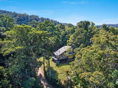 Farm Sold - NSW - Upper Wilsons Creek - 2482 - Nature Lover's Paradise  (Image 2)