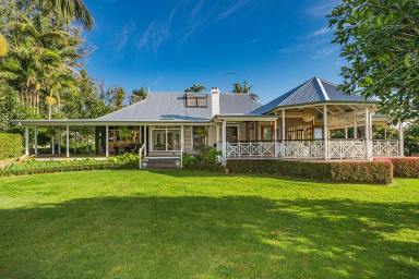 Farm Sold - NSW - Brooklet - 2479 - Yungaburra - Luxurious Hinterland Estate  (Image 2)