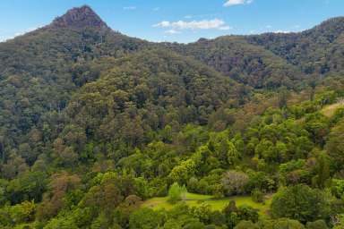 Farm Sold - NSW - Mount Warning - 2484 - Magical Mount Warning  (Image 2)