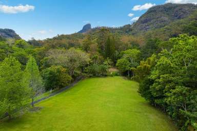 Farm Sold - NSW - Mount Warning - 2484 - Magical Mount Warning  (Image 2)