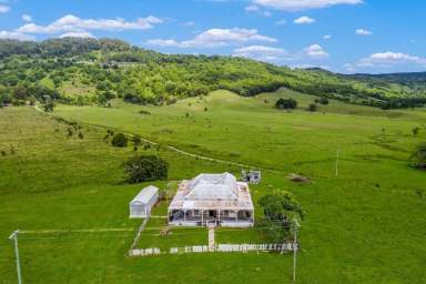 Farm Sold - NSW - Wilsons Creek - 2482 - Jewel in the Crown - "Longfield" Farm  (Image 2)