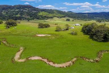 Farm Sold - NSW - Wilsons Creek - 2482 - Jewel in the Crown - "Longfield" Farm  (Image 2)