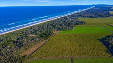 Farm Sold - NSW - Patchs Beach - 2478 - Prime Position Prime Farmland - 105 Acres (approx) close to Patchs Beach  (Image 2)