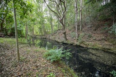 Farm Sold - NSW - Crabbes Creek - 2483 - "Wyuna" - Rainforest Sanctuary  (Image 2)