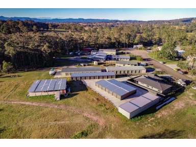 Farm Sold - NSW - Wingham - 2429 - POTENTIAL PLUS! AMAZING INVESTMENT OPPORTUNITY  (Image 2)