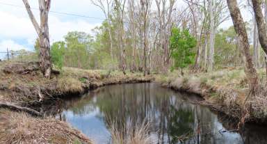 Farm Sold - QLD - Thanes Creek - 4370 - 1.7km's Creek Frontage  (Image 2)