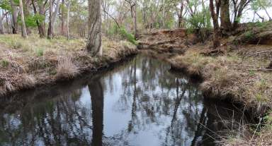 Farm Sold - QLD - Thanes Creek - 4370 - 1.7km's Creek Frontage  (Image 2)