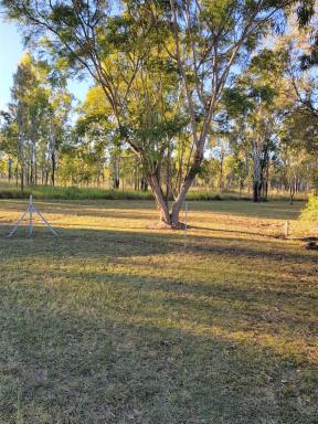 Farm Sold - QLD - Millstream - 4888 - REDUCED - Ideal Small Acreage for Tree Change Dreamers  (Image 2)