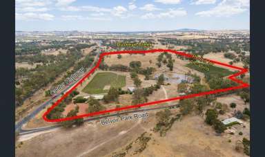 Farm Sold - VIC - Ravenswood - 3453 - Vineyard Resort  (Image 2)