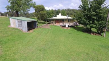 Farm Sold - NSW - Putty - 2330 - Charming Country Tree Change  (Image 2)