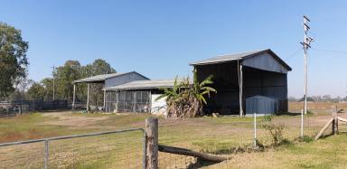Farm Sold - QLD - Delan - 4671 - Lot 82 Berrembea Rd Delan,  Burnett River frontage...cattle & cane.  (Image 2)
